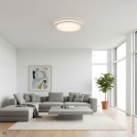 LED plafonjera CCT 36 W bijela/srebrna OPTONICA 12803