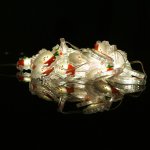 LED Božićne magic lampice djed mraz 50 LED toplo bijela 5 m ECO LIGHT ML61601