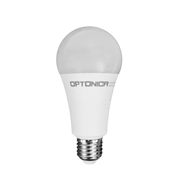 LED ŽARULJA E27 A65 19W