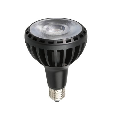 LED ŽARULJA E27 PAR30 25W