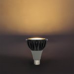 LED ŽARULJA E27 PAR30 25W OPTONICA 1528 1529 1530